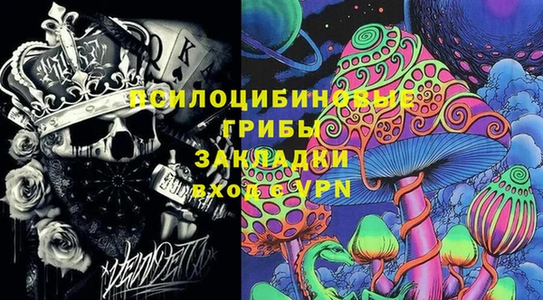 крисы Беломорск